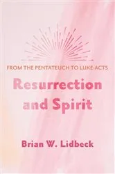 Book cover of Resurrection and Spirit by Brian W. Lidbeck