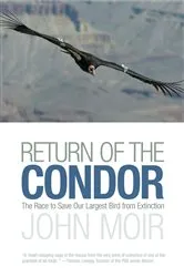 Book cover of Return of the Condor by Unknown