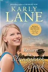 Book cover of Return to Stringybark Creek by Karly Lane