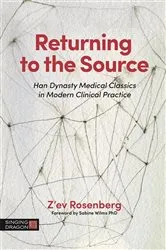 Book cover of Returning to the Source by Z'ev Rosenberg