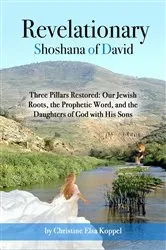 Book cover of Revelationary: Three Pillars Restored by Christine Elsa Koppel