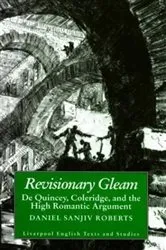 Book cover of Revisionary Gleam by Daniel Sanjiv Roberts