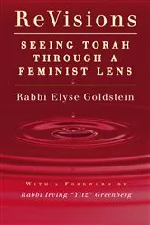 Book cover of ReVisions by Goldstein Elyse