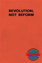 Book cover of Revolution, Not Reform by Jordan Ross Levi