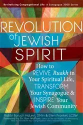 Book cover of Revolution of the Jewish Spirit by HaLevi, DMin, Rabbi Baruch