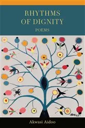 Book cover of Rhythms of Dignity by Unknown