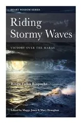 Book cover of Riding Stormy Waves by Ringu Tulku