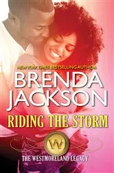 Book cover of Riding the Storm by Julie Miller