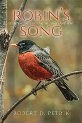 Book cover of Robin's Song by Robert D. Petrik