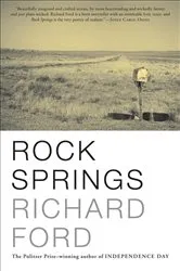 Book cover of Rock Springs by Russel L. Tanner