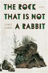 Book cover of Rock That Is Not a Rabbit, The by Corey Marks