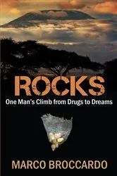 Book cover of Rocks by Grace Karskens