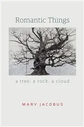 Book cover of Romantic Things by Mary Jacobus