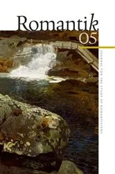 Book cover of Romantik 5 by Cian Duffy