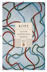 Book cover of Rope by Tim Queeney