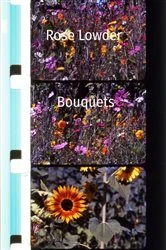 Book cover of Rose Lowder     Bouquets (2nd ed.) by Scott Hammen