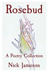Book cover of Rosebud by Paul Cornell