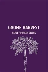 Book cover of Rosetta Gnome by Ashley Parker Owens