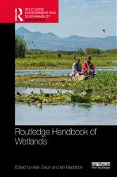 Book cover of Routledge Handbook of Wetlands by Alan Dixon