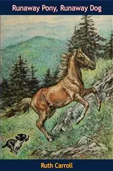 Book cover of Runaway Pony, Runaway Dog by Ruth Carroll