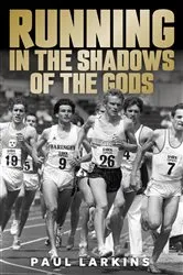 Book cover of Running in the Shadows of the Gods by Paul Larkins