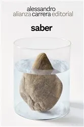 Book cover of Saber by Alessandro Carrera