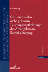 Book cover of Sach- und andere nicht-pekuniaere Leistungsverpflichtungen des Arbeitgebers im Betriebsuebergang by Frank Bayreuther