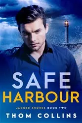 Book cover of Safe Harbour by Danielle Steel