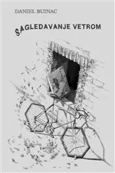 Book cover of Sagledavanje vetrom by Daniel Buinac