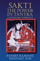 Book cover of Sakti by Pandit Rajmani Tigunait