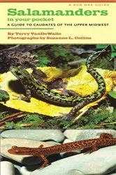 Book cover of Salamanders in Your Pocket by Terry VanDeWalle