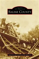 Book cover of Saline County by Faith Dincolo
