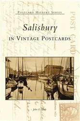 Book cover of Salisbury in Vintage Postcards by John E. Jacob