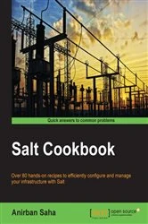 Book cover of Salt Cookbook by Anirban Saha