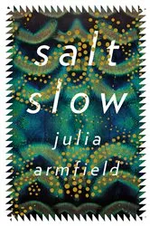 Book cover of salt slow by Julia Armfield