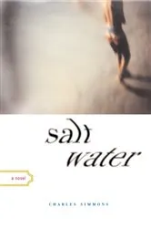 Book cover of Salt Water by Eugenia Triantafyllou