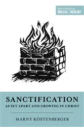 Book cover of Sanctification as Set Apart and Growing in Christ by Unknown