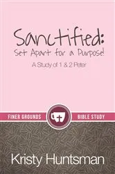 Book cover of Sanctified by Kristy Huntsman