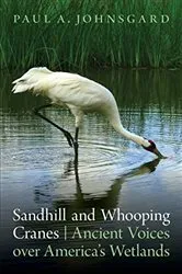 Book cover of Sandhill and Whooping Cranes by Paul A. Johnsgard
