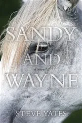 Book cover of Sandy and Wayne by Unknown