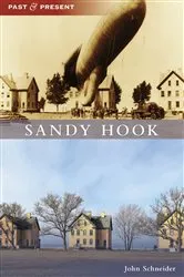 Book cover of Sandy Hook by John Schneider