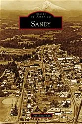 Book cover of Sandy by Dan Bosserman