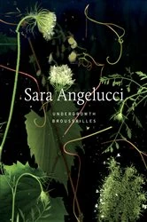 Book cover of Sara Angelucci: Undergrowth / Broussailles by Sara Angelucci