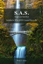 Book cover of SAS by Stewart McClean