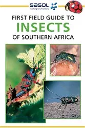 Book cover of Sasol First Field Guide to Insects of Southern Africa by Alan Weaving