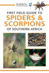 Book cover of Sasol First Field Guide to Spiders & Scorpions of Southern Africa (2nd ed.) by Tracey Hawthorne