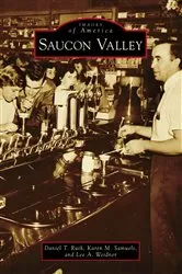 Book cover of Saucon Valley by Daniel T. Ruth