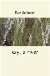 Book cover of say, a river by Pam Schindler