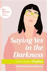 Book cover of Saying Yes in the Darkness by Teresa Swanstrom Anderson