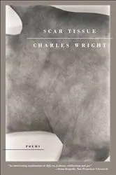 Book cover of Scar Tissue by Unknown